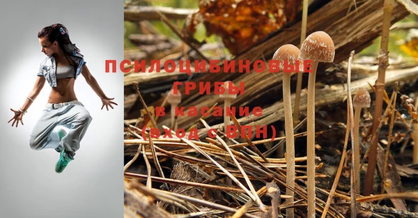 a pvp Киреевск