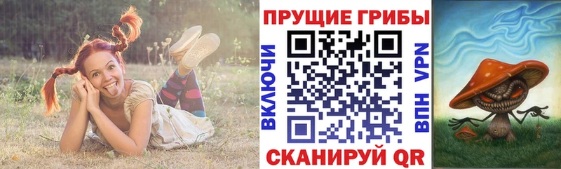 Галлюциногенные грибы Psilocybe  Купить закладки  Крымск 